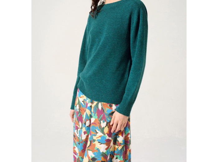 Pull baies de viburnum