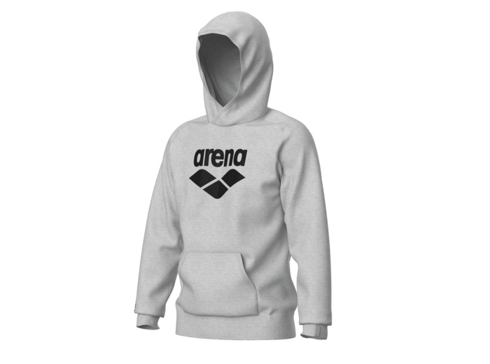 Sweat-shirt à capuche unisexe arena Graphic