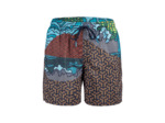 Boxer de plage arena Placed pour hommes