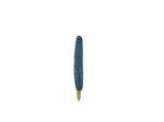Bebeconfort Thermometre de bain Artic Blue