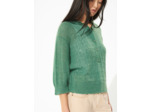 Pull nouvelle pousse