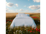 PACK HOUSSE DE COUETTE + TAIE(S) D'OREILLER | La Cerise