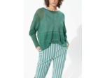Pull nouvelle pousse