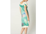 Robe debby pres du pre