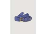 Ceinture vigne