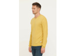 Pull CLORO Topaz