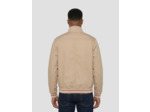 Blouson stardust