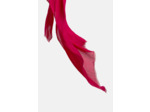 Foulard lazio