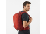 Trailblazer 20 Red Dahlia   High Risk Red