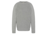Pull Schott col rond NYC PLALI2 SCHOTT