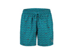 Boxer de plage arena Allover pour hommes