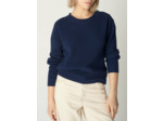 Pull daisy nocturne