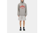 Sweatshirt À Capuche Gris Avec Sérigraphie Glendale ardoise