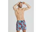 Bermuda de plage arena Allover pour hommes