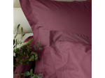 TAIE D'OREILLER | Vexin - Rose Des Sables