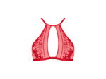Soutien-gorge Brassière Rules of Attraction