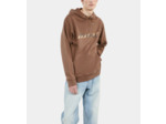 Sweatshirt À Capuche What Is Marron brown