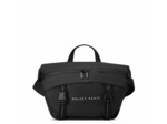 Raspail sac besace s