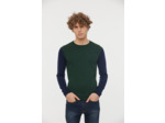 Pull col rond léger bicouleur
