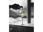 6 verres 55cl tannic Open Up