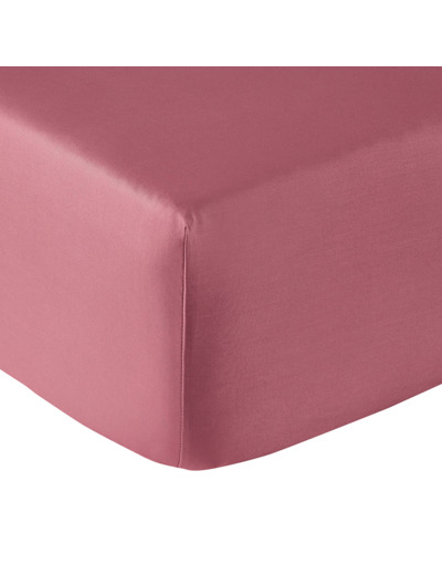 DRAP HOUSSE | Vexin - Rose Des Sables