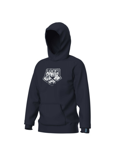 Sweat-shirt à capuche unisexe arena Graphic