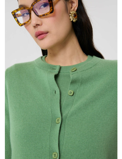 Gilet Guido Amande en Cachemire