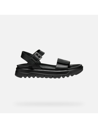 D XAND 2.1S