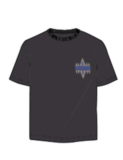 Tee Quiksilver Noir Classique
