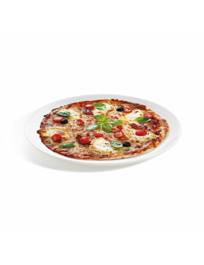 6 assiettes plates 25cm white Evolutions