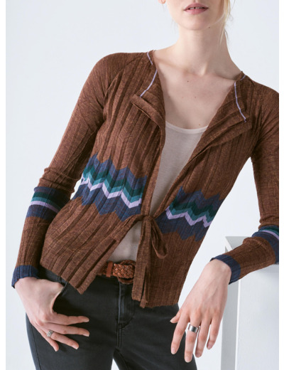 Cardigan in the woods