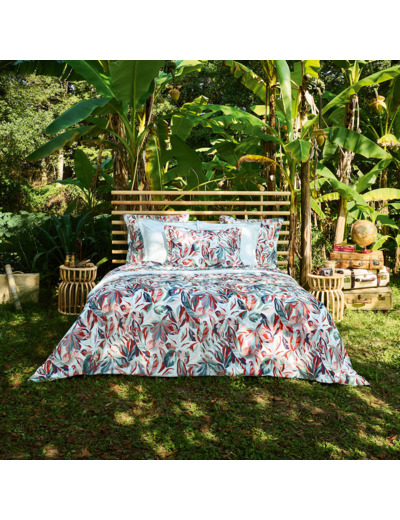 HOUSSE DE COUETTE | Post Card