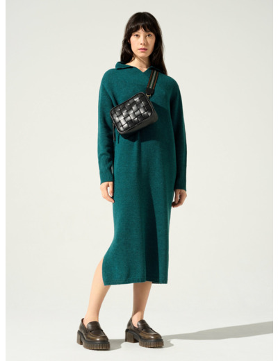 Robe baies de viburnum