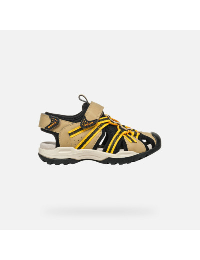 JR BOREALIS