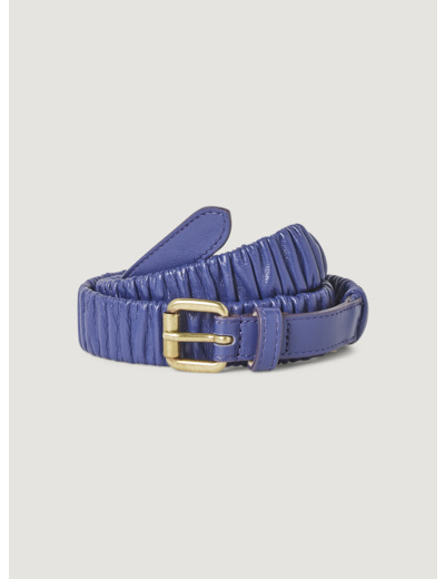 Ceinture vigne