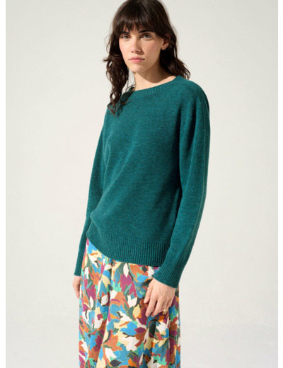 Pull baies de viburnum