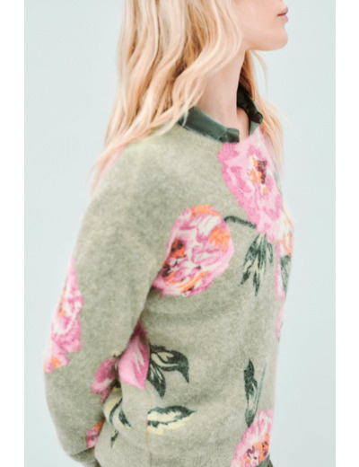 Pull manolia2