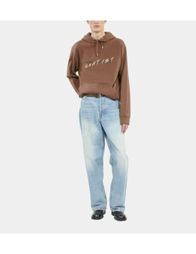 Sweatshirt À Capuche What Is Marron brown