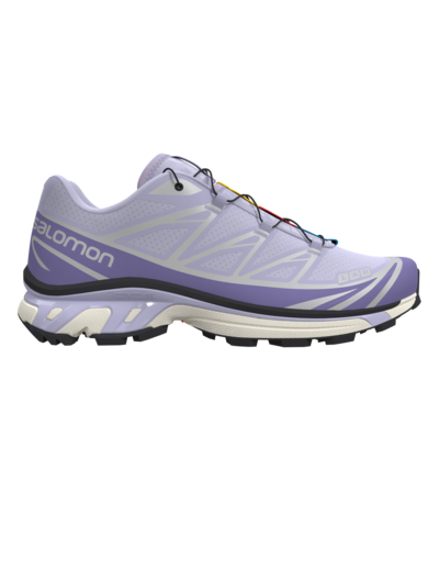 Xt-6 Purple Heather Aster Purple Ftw Sil