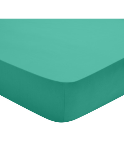 Drap Housse Studio Coton Vert