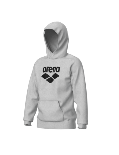 Sweat-shirt à capuche unisexe arena Graphic