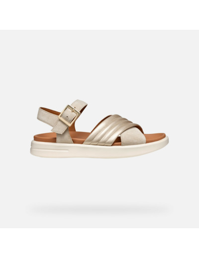 D XAND 2S