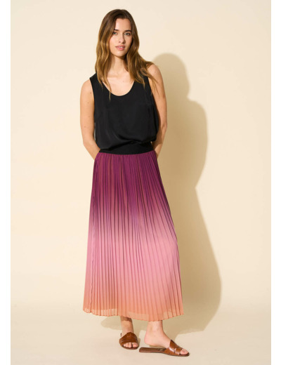 Jupe longue plissée dégradée