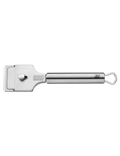 Grattoir pour plaque de cuisson PROFI PLUS SSS