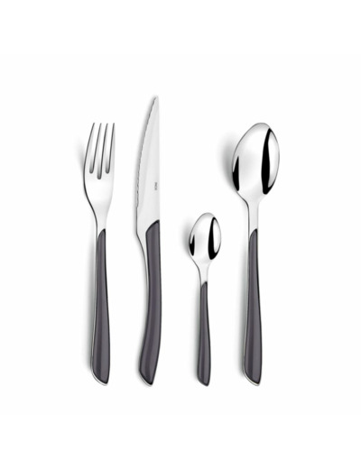 MENAGERE 24 PIECES