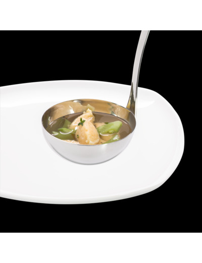Louche à soupe Profi Plus