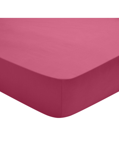 Drap Housse Studio Coton Fuchsia