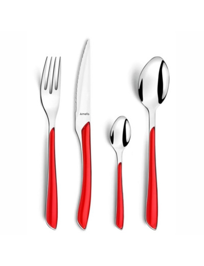 MENAGERE 24 PIECES