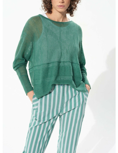 Pull nouvelle pousse