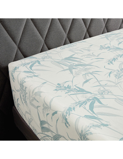 DRAP HOUSSE | Estampe